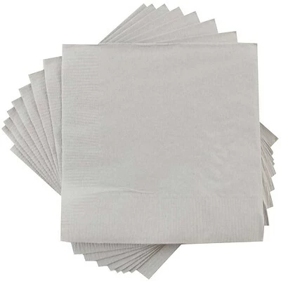 Buy โญ Disposable Napkins JAM Paper Lunch Napkin, 2-ply, Silver, 40 Napkins/Pack (255628827) ๐ฏ