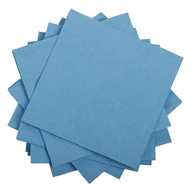 Buy 🥰 Disposable Napkins JAM PAPER Small Beverage Napkins, 5 X 5, Pastel Blue, 50/Pack ✨