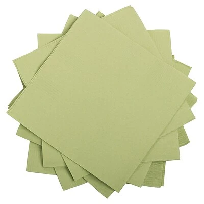 Top 10 ๐ Disposable Napkins JAM PAPER Small Beverage Napkins, 5 X 5, Leaf Green, 50/Pack ๐